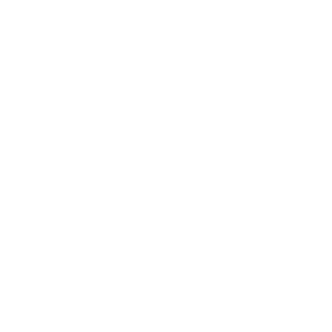 SOLID.White.DuckIcon
